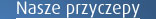 Przyczepy do wynaj�cia